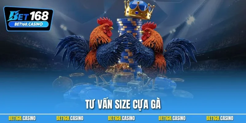 Tư Vấn Size Cựa Gà Cùng Cách Lên Chính Xác Từ Chuyên Gia